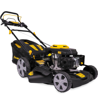 CHAMPION LM5131 -2