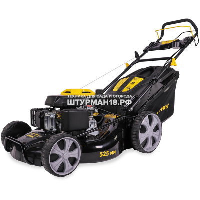 CHAMPION LM5345 -1