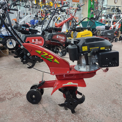 Eurosystems Z 2 двигатель CHAMPION G160VK2-6