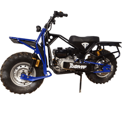 ТОФАЛАР Lifan170F-R (23х7х10)-3